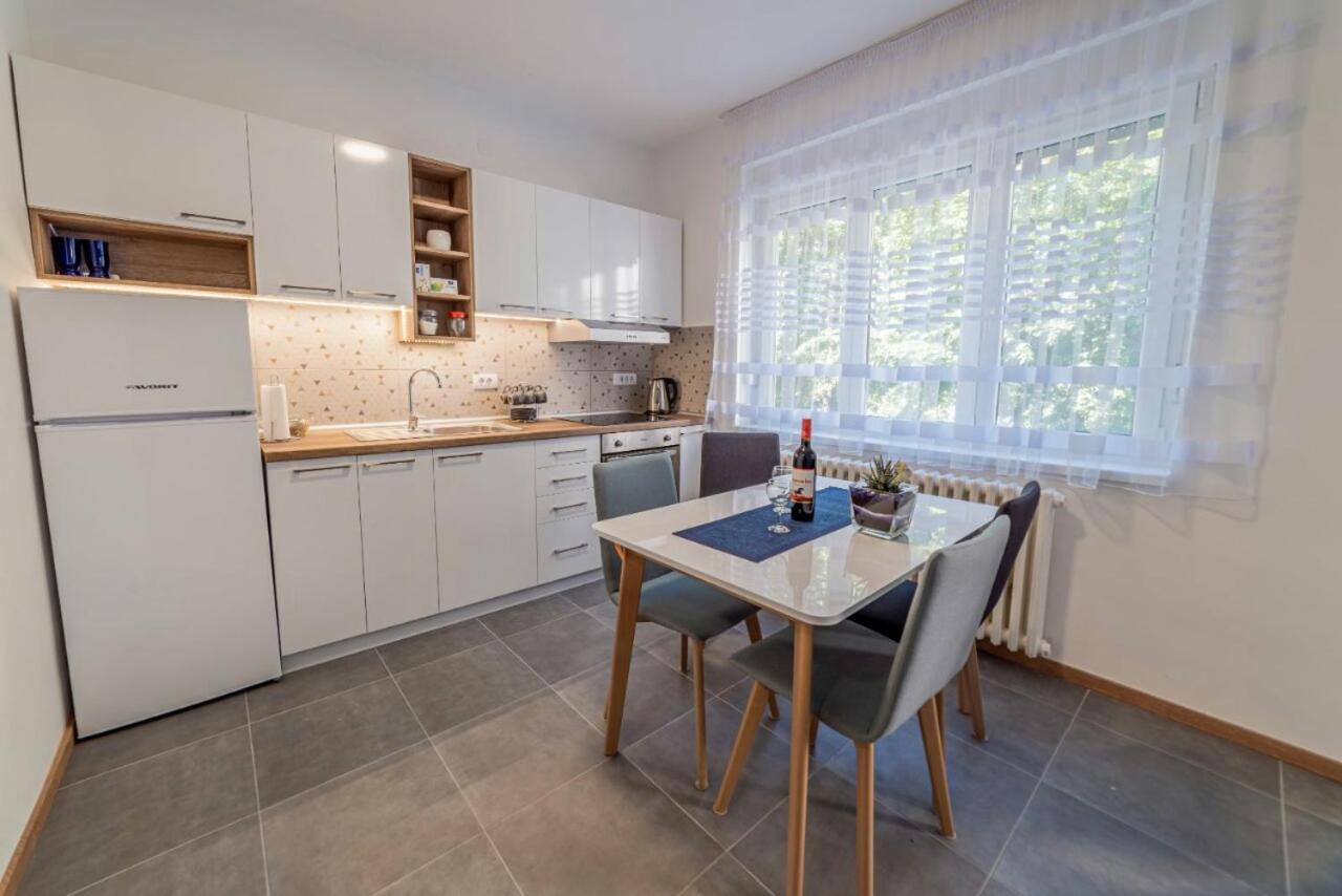 Apartment Danube Lux Novi Sad